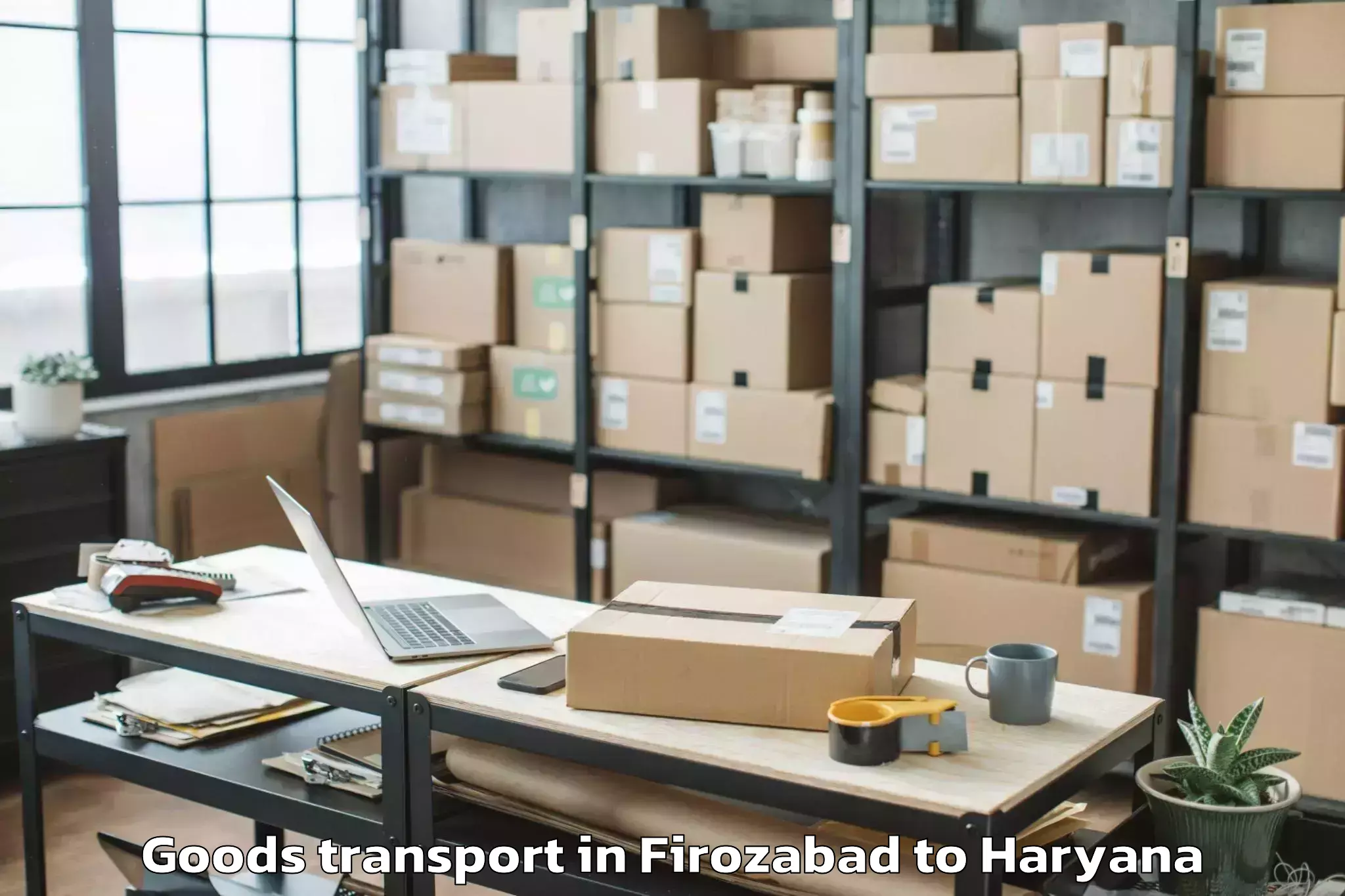 Top Firozabad to Chaudhary Charan Singh Haryana Goods Transport Available